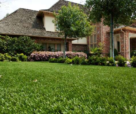 Home with StarPro Greens Artificial Grass Turf